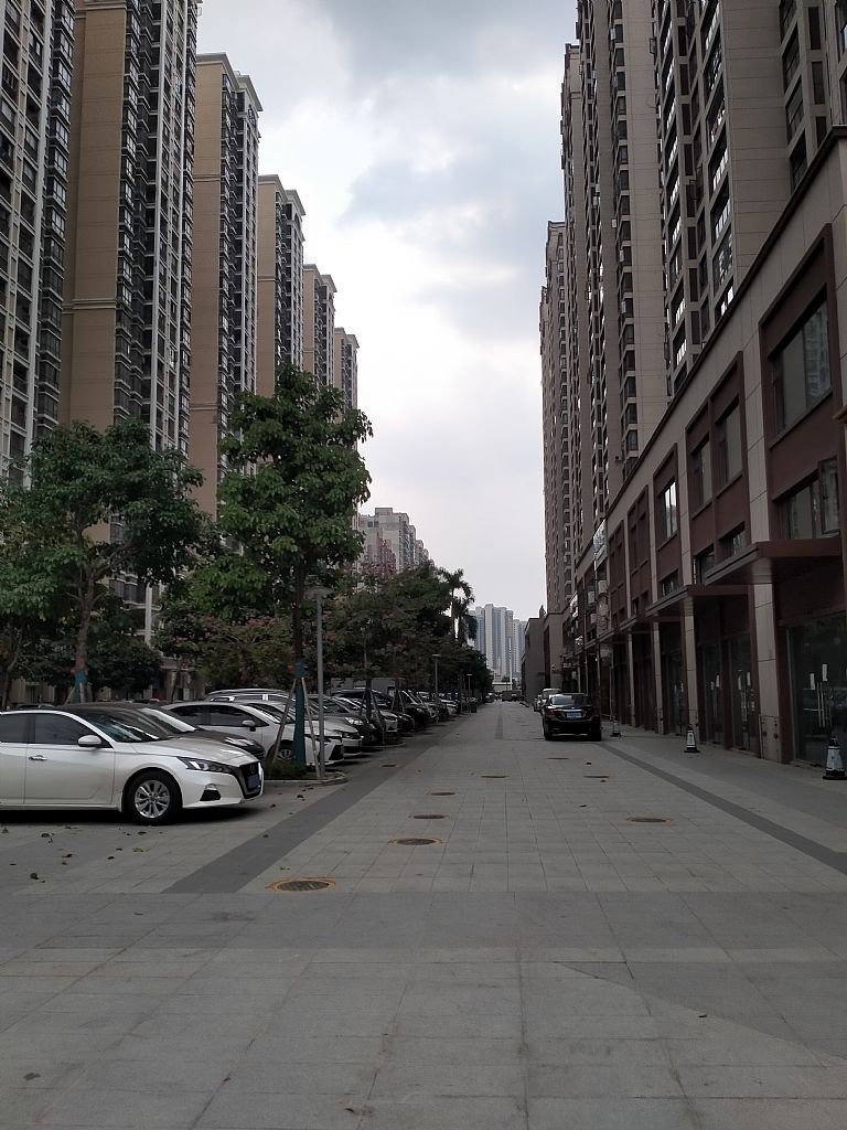 迎宾大道商铺出售 整栋出售 房源图片