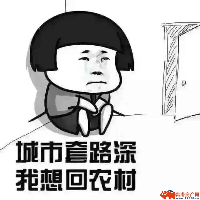 61b6a5ddbdef6.jpg